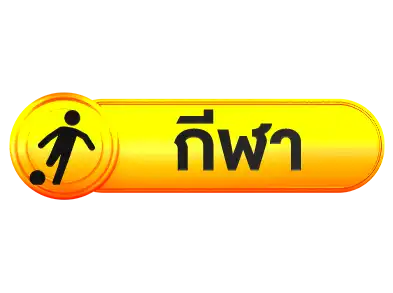 แบนเนอร์ 13