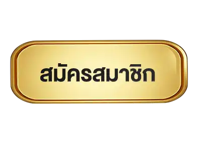 แบนเนอร์ 2